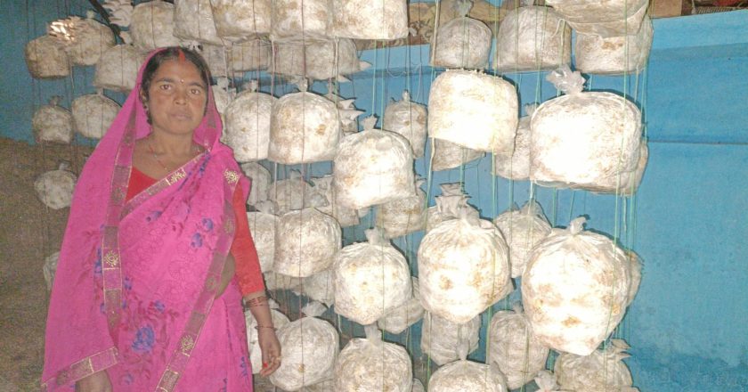 सोनमती ने लिखी आत्मनिर्भरता की नई कहानी   मशरूम की खेती कर कमाए 7 लाख रुपये