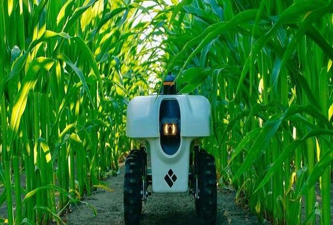 कृषि रोबोट: किसानों का किफायती दोस्त (लेख प्रियंका सौरभ)