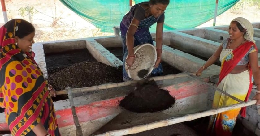 रायगढ़: जैविक कीटनाशक ब्रह्मास्त्र से किसानों को मिलेगा महंगी रासायनिक दवाईयों से छुटकारा