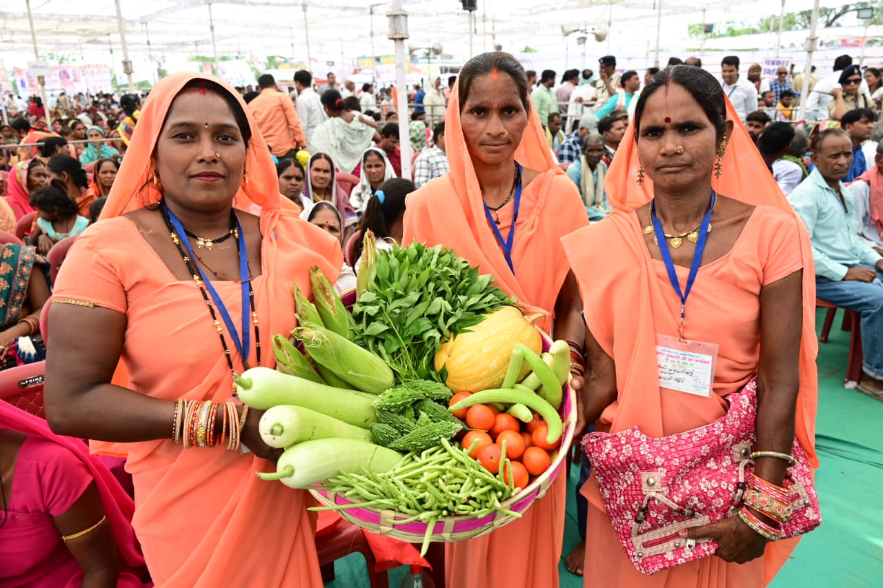 भेंट-मुलाकात, विधानसभा बेलतरा, मुख्यमंत्री को भेंट करेंगी अपनी बाड़ियों में उगाई सब्जियां