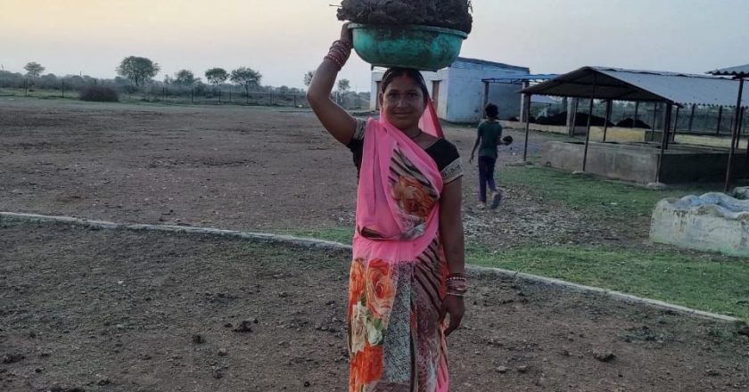 गोधन न्याय योजना को हुए पूरे तीन साल, ग्रामीणों की आर्थिक स्थिति में हो रहा सुधार