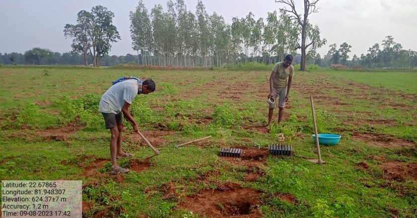 ’मुख्यमंत्री वृक्ष सम्पदा योजना ’ पर्यावरण संरक्षण के साथ होगा मृदा संरक्षण