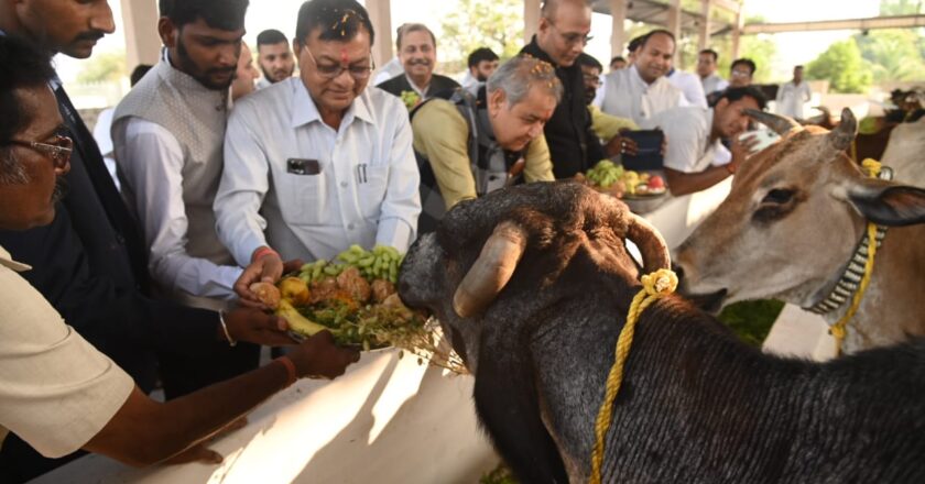 वाणिज्य और उद्योग एवं श्रम विभाग मंत्री लखन लाल देवांगन ने नगपुरा स्थित गौशाला का किया उद्घाटन