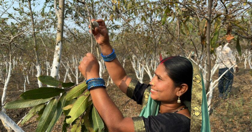 रेशमी धागों ने महिलाओं के जीवन में लाई खुशियां