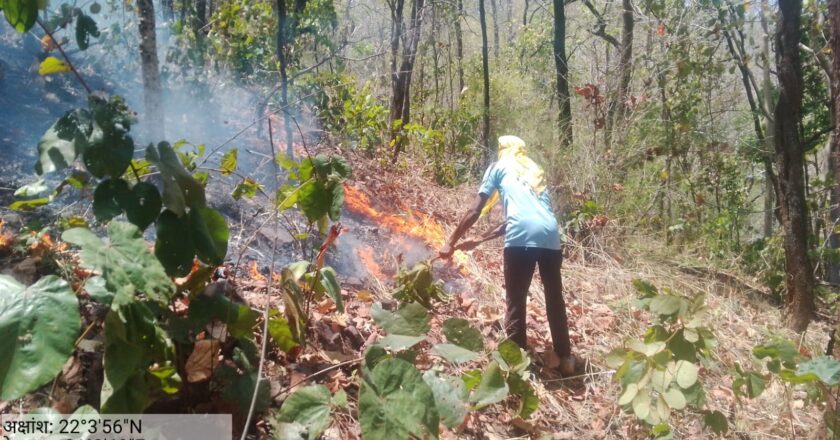 भीषण गर्मी में कवर्धा वनमंडल अंतर्गत के क्षेत्रों में कर रहे आग पर नियंत्रण
