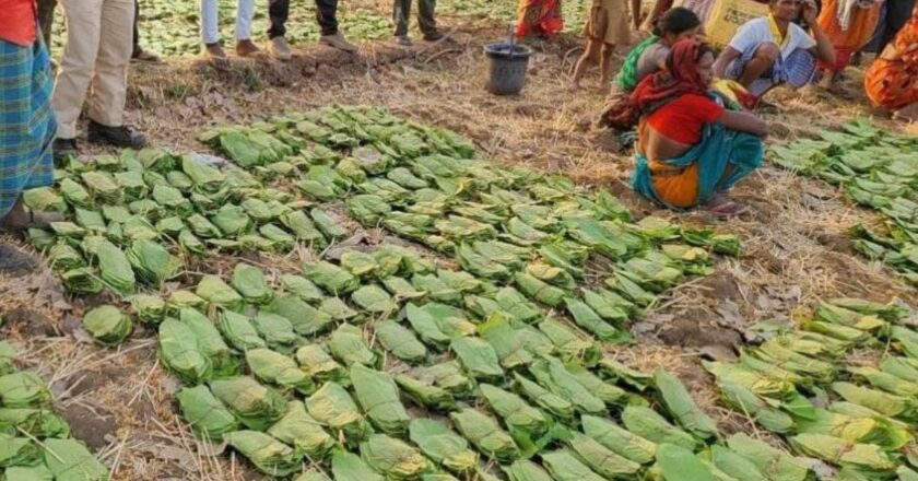 हरे सोने का दे रहे अच्छा दाम, आदिवासी भाई-बहनों के जीवन में आएगी खुशहाली – विष्णु देव साय