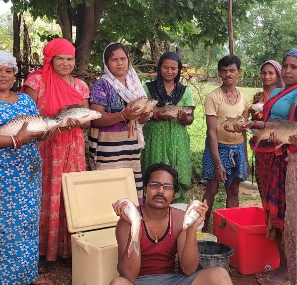 मछली पालन से गणेश महिला स्व सहायता समूह की आर्थिक एवं सामाजिक स्थिति हुई मजबूत  