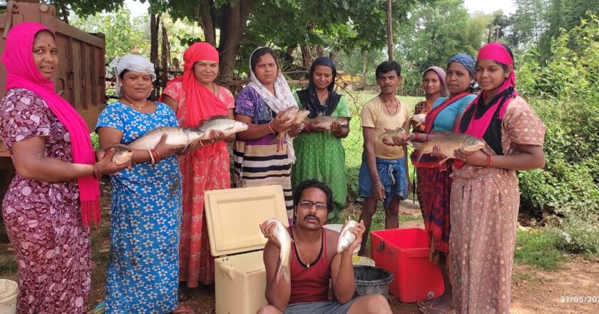 मछली पालन से गणेश महिला स्व सहायता समूह की आर्थिक एवं सामाजिक स्थिति हुई मजबूत  