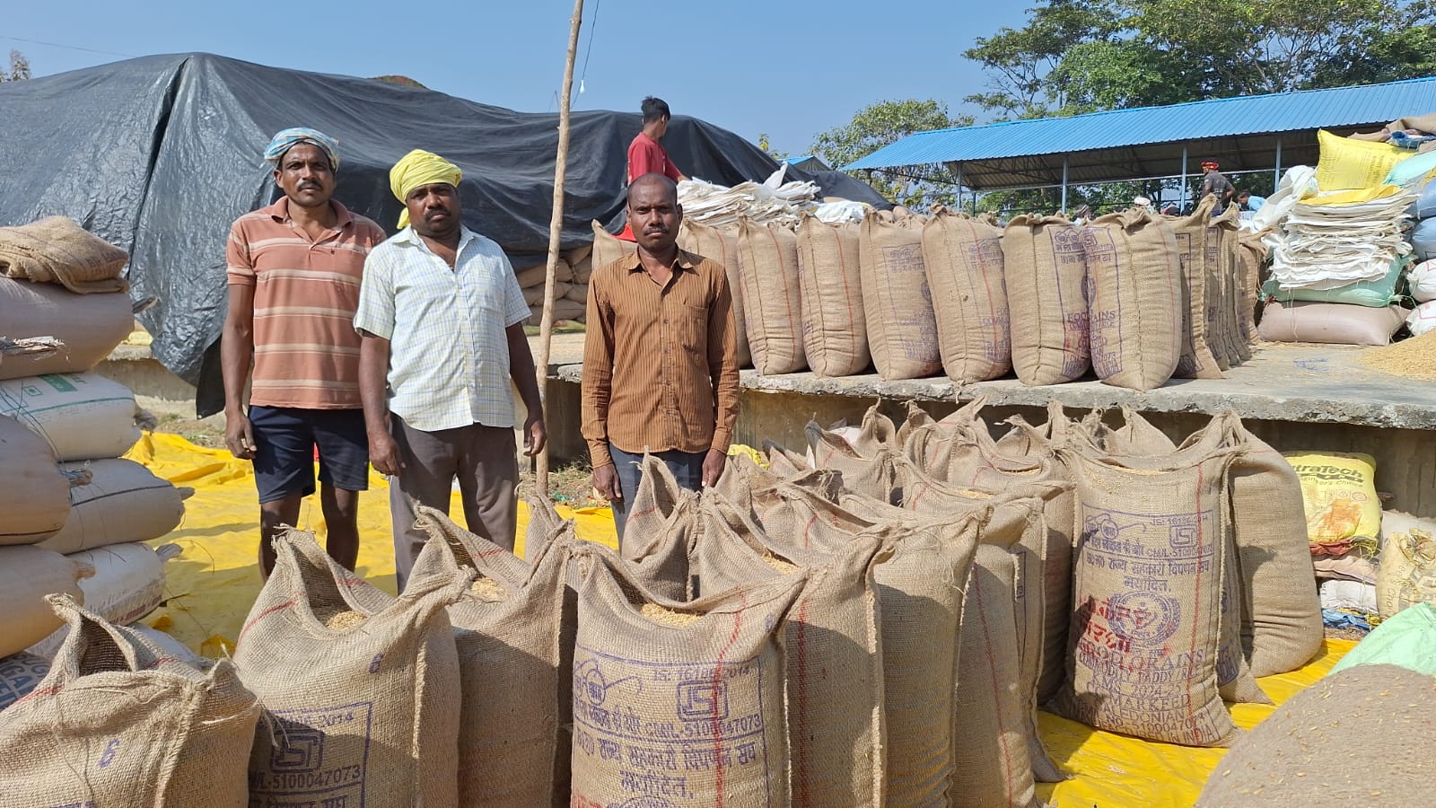 अच्छी फसल और अच्छा कीमत पाकर खुश है तीनो भाई पिछले साल बकाया बोनस मिलने के बाद बढ़ा उत्साह