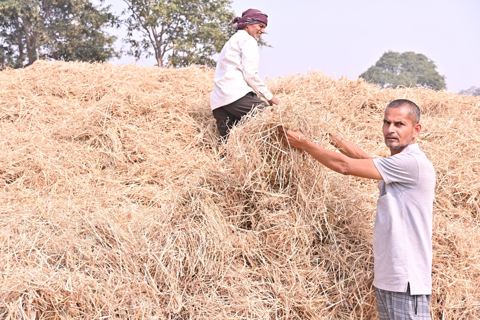 कृषक उन्नति योजना से सशक्त हुए प्रेमचंद, किसान आर्थिकरूप से मजबूत हो रहे