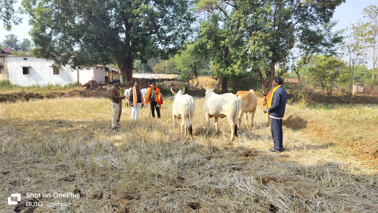 जशपुर Sp शशि मोहन सिंह का ऑपरेशन शंख नाद गौ तस्करों की कमर तोड़ दिया