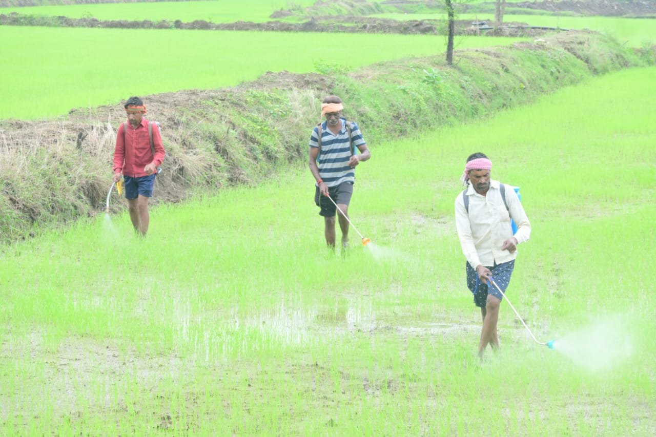 जिले में पर्याप्त मात्रा में खाद-बीज का भंडारण