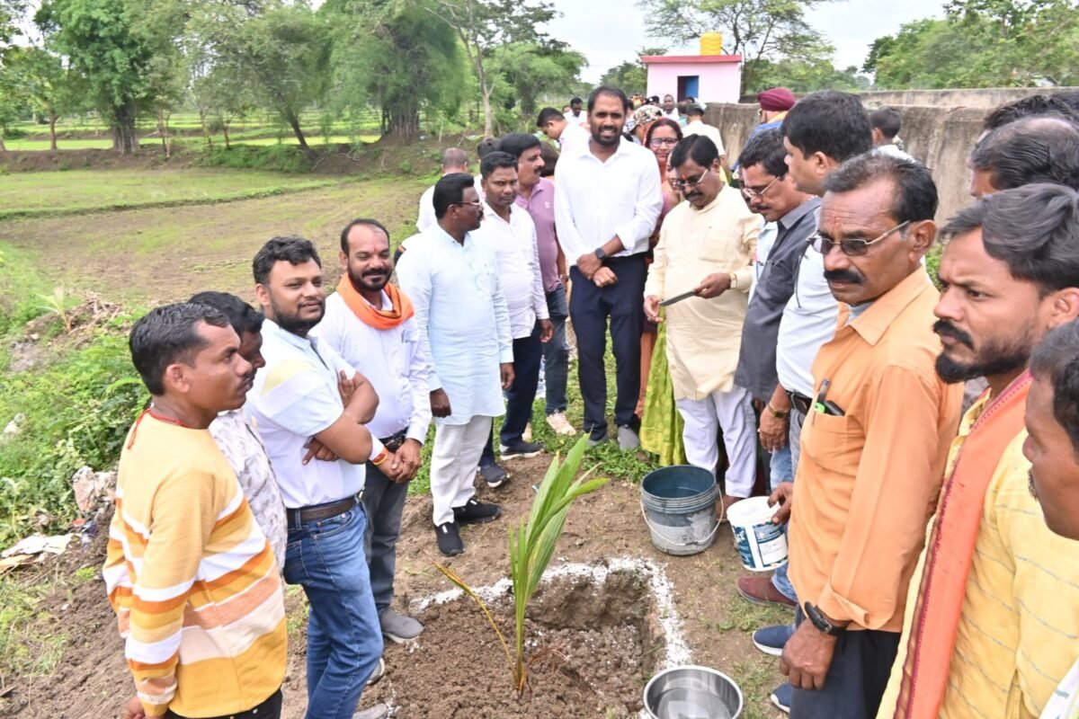 महानदी किनारे 14 किलोमीटर में 4000 नारियल पौधों का रोपण : पर्यावरण संरक्षण की दिशा में ऐतिहासिक पहल