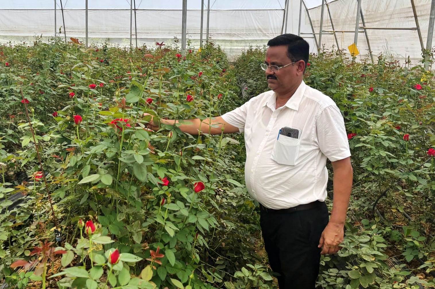 फूलों की खेती से एक साल में 10 लाख की कमाई