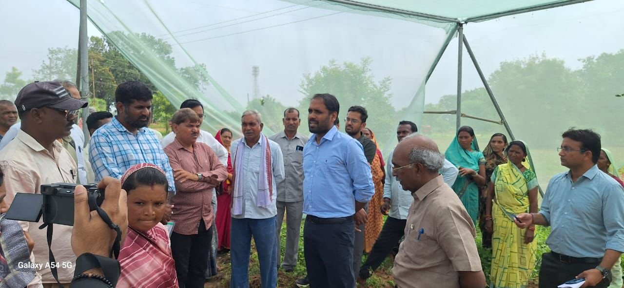 औषधीय फसलों को बढ़ावा देने ग्राम पचपेड़ी में विकसित हुआ प्रदर्शन प्लॉट