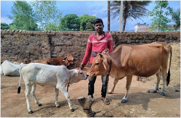 राज्य पोषित डेयरी उद्यमिता विकास योजना से सुखसागर आर्थिक रूप से हुआ मजबूत