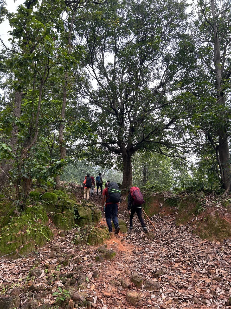 जशपुर से हिमालय तकः जनजातीय युवाओं की ऐतिहासिक चढ़ाई की तैयारी