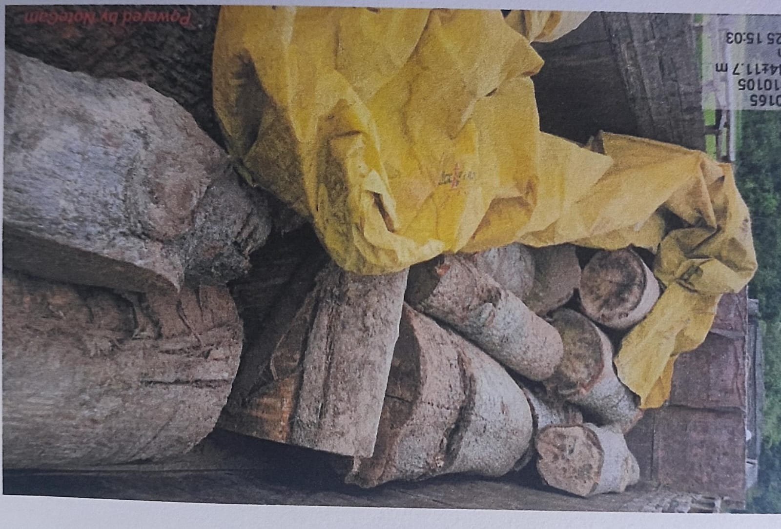 जशपुर वनमण्डल द्वारा अवैध काष्ठ का परिवहन करते वाहन एवं हाइड्रा जप्त