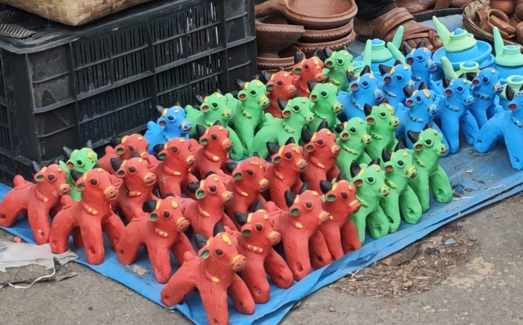 पशुधन के प्रति कृतज्ञता के साथ ही सामाजिक, सांस्कृतिक और पर्यावरणीय दृष्टि से भी महत्वपूर्ण है पोला