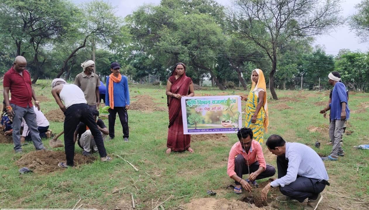 एक पेड़ माँ के नाम अभियान के तहत 54549 पौधों का रोपण – समाज सेवी एवं सामाजिक संस्थाओं की रही सक्रिय सहभागिता