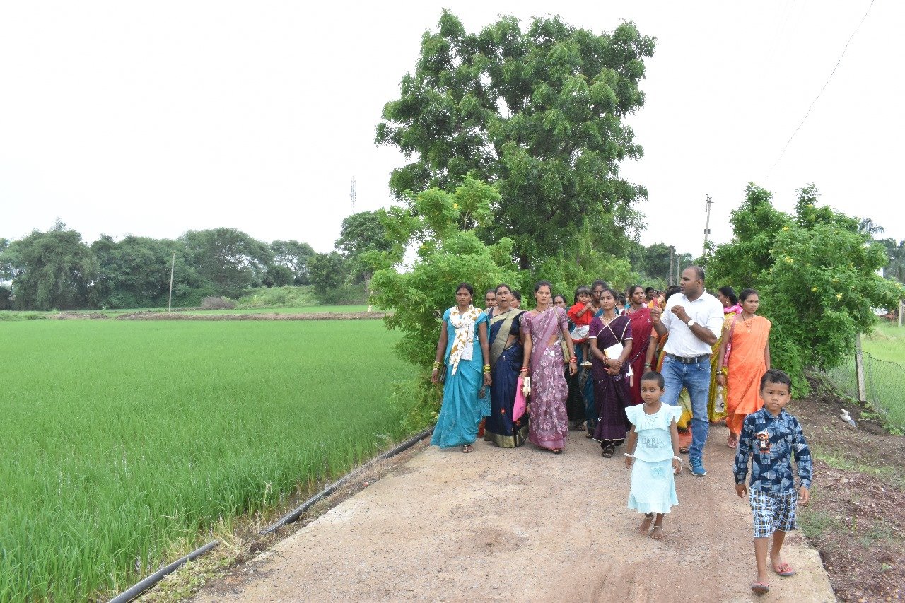 कृषि विज्ञान केन्द्र सुरगी द्वारा किसानों को धान फसल की सुरक्षा के लिए दी गई समसामयिक सलाह