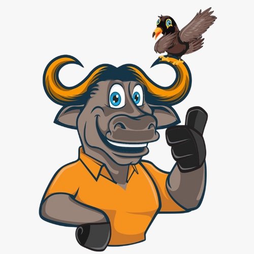 बस्तर ओलंपिक 2025 का पंजीयन हुआ शुरु  20 अक्टूबर तक होगा पंजीयन