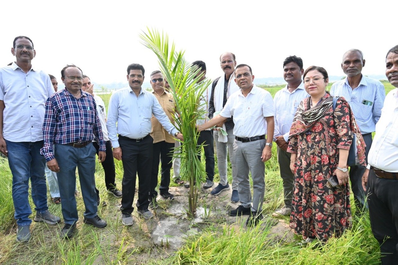 ऑयल पाम खेती: किसानों के लिए स्थायी आय और आत्मनिर्भरता की राह