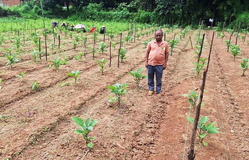 सफलता की इबारत: नवाचार और तकनीक से दोगुनी हुई किसान की आय