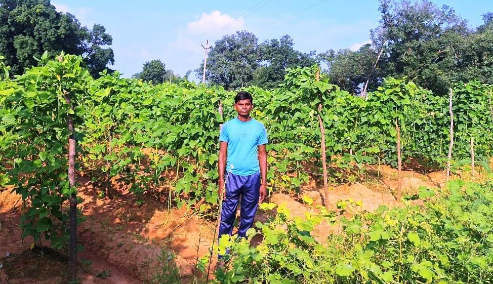 बरबट्टी की खेती से आत्मनिर्भरता की ओर बढ़ रहे केराबहार के किसान खुलेश्वर पैंकरा