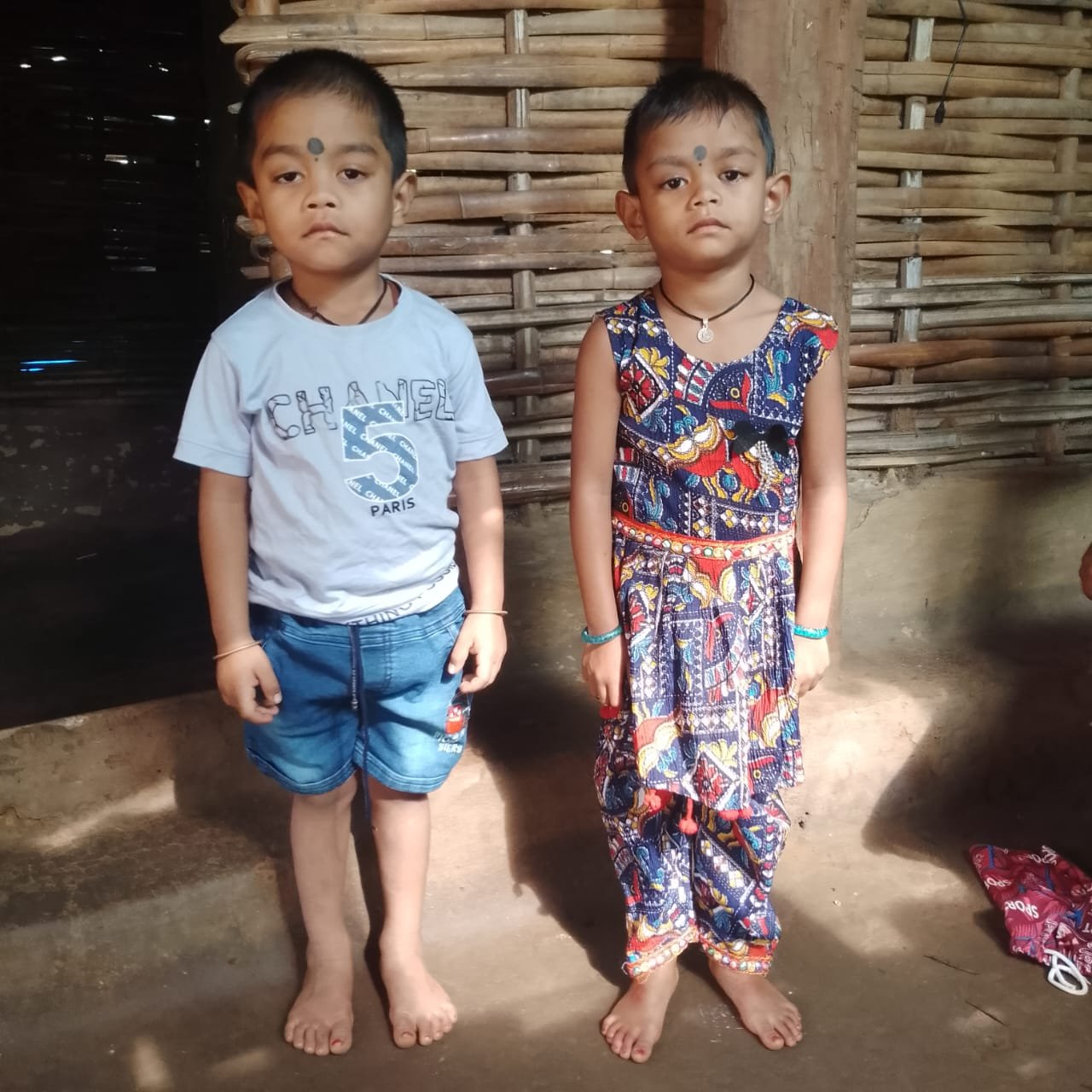 नन्हे कदमों की बड़ी सफलता : निहारिका और निहाल की सुपोषित यात्रा