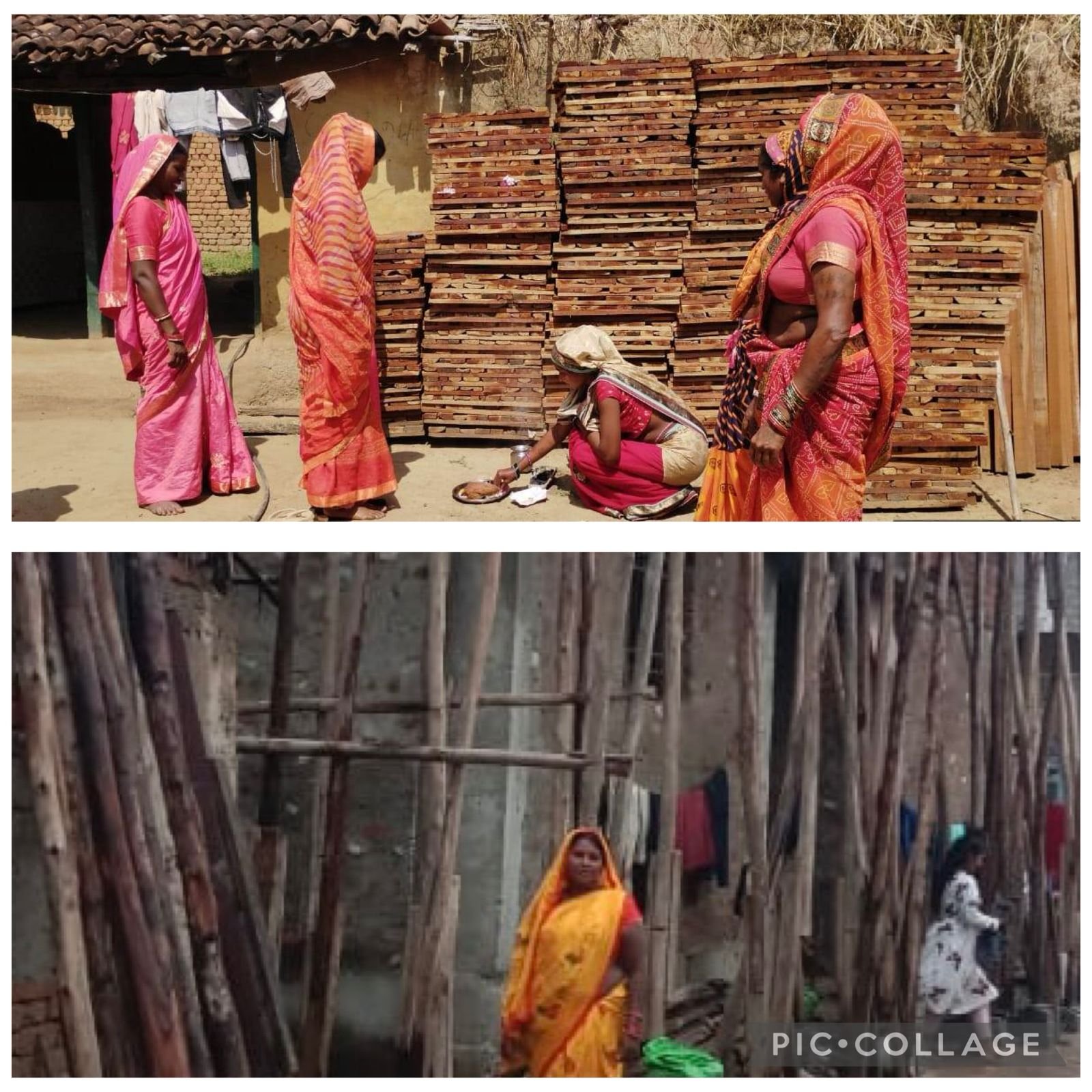 साझी मेहनत, साझा समृद्धि  ‘बिहान’ से बदल रहा ग्रामीण महिला जीवन