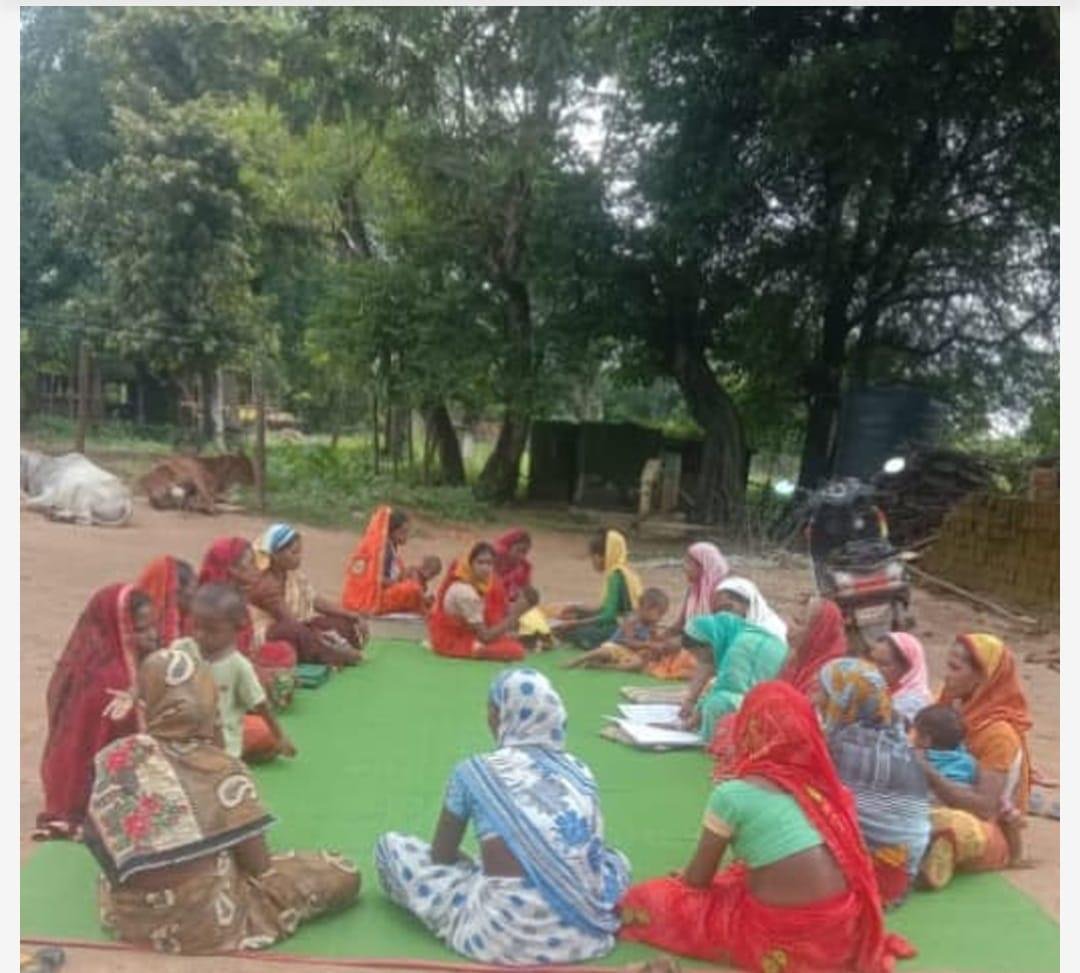 ’जिले के अधिकांश क्षेत्रों में टमाटर उत्पादन संतोषजनक जिले में टमाटर की गुणवत्ता एवं आपूर्ति सामान्य