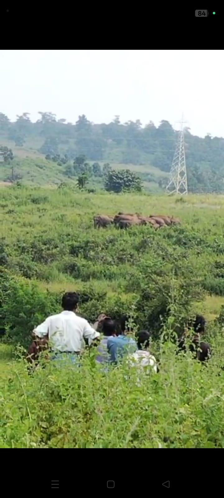 हाथी प्रभावित क्षेत्रों में शालाओं का निरीक्षण – छात्र-छात्राओं की सुरक्षा हेतु सतर्क रहने दिए गए निर्देश