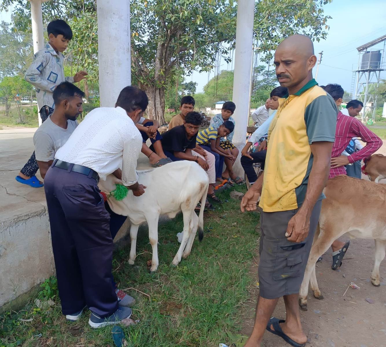 ग्राम भोथीपारखुर्द पुराना में नि:शुल्क एक दिवसीय पशु चिकित्सा शिविर का हुआ आयोजन