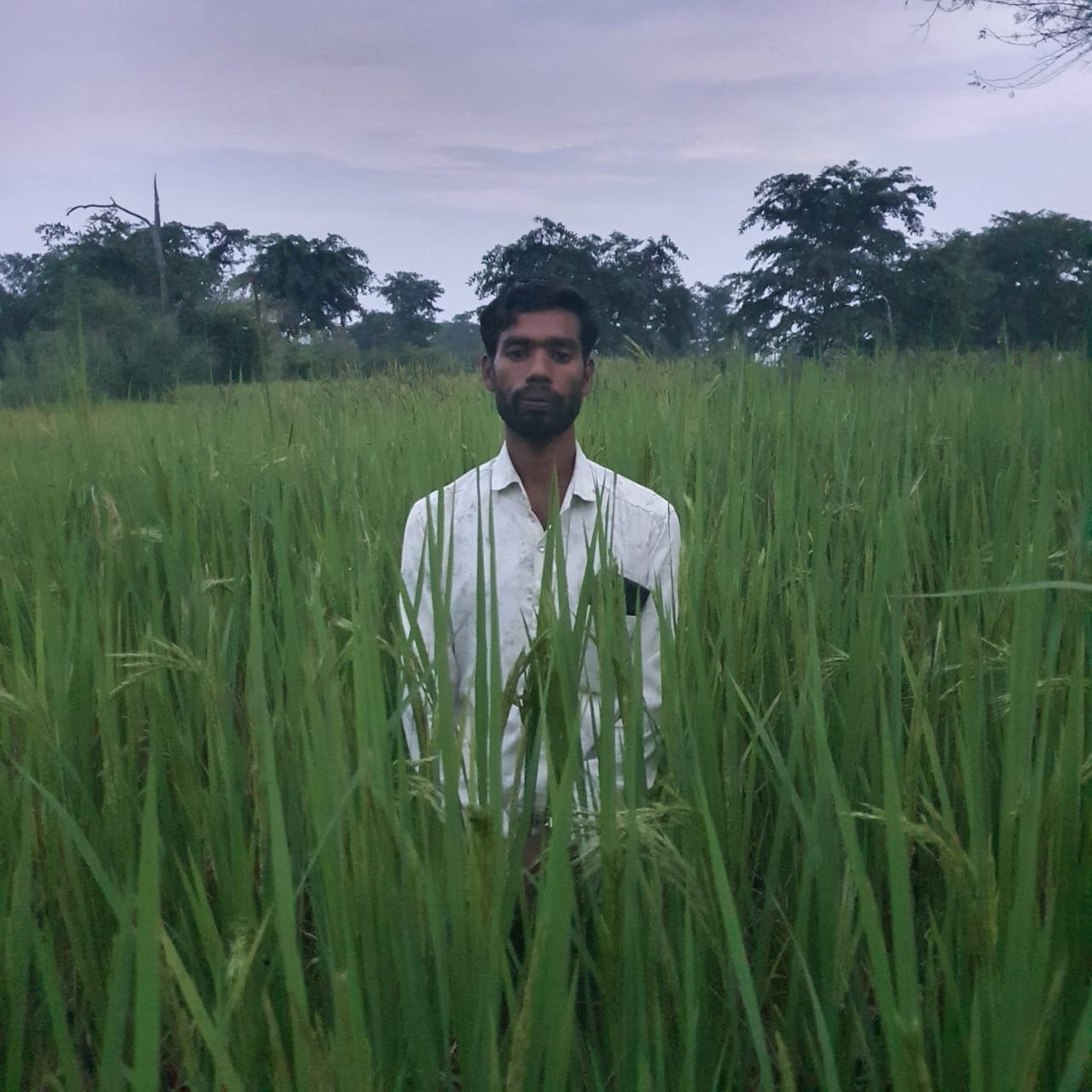 जैविक खेती के प्रतीक बने थानेंद्र साहू — धमतरी जिले से प्रथम बार राज्य स्तरीय डॉ. खूबचंद बघेल पुरस्कार