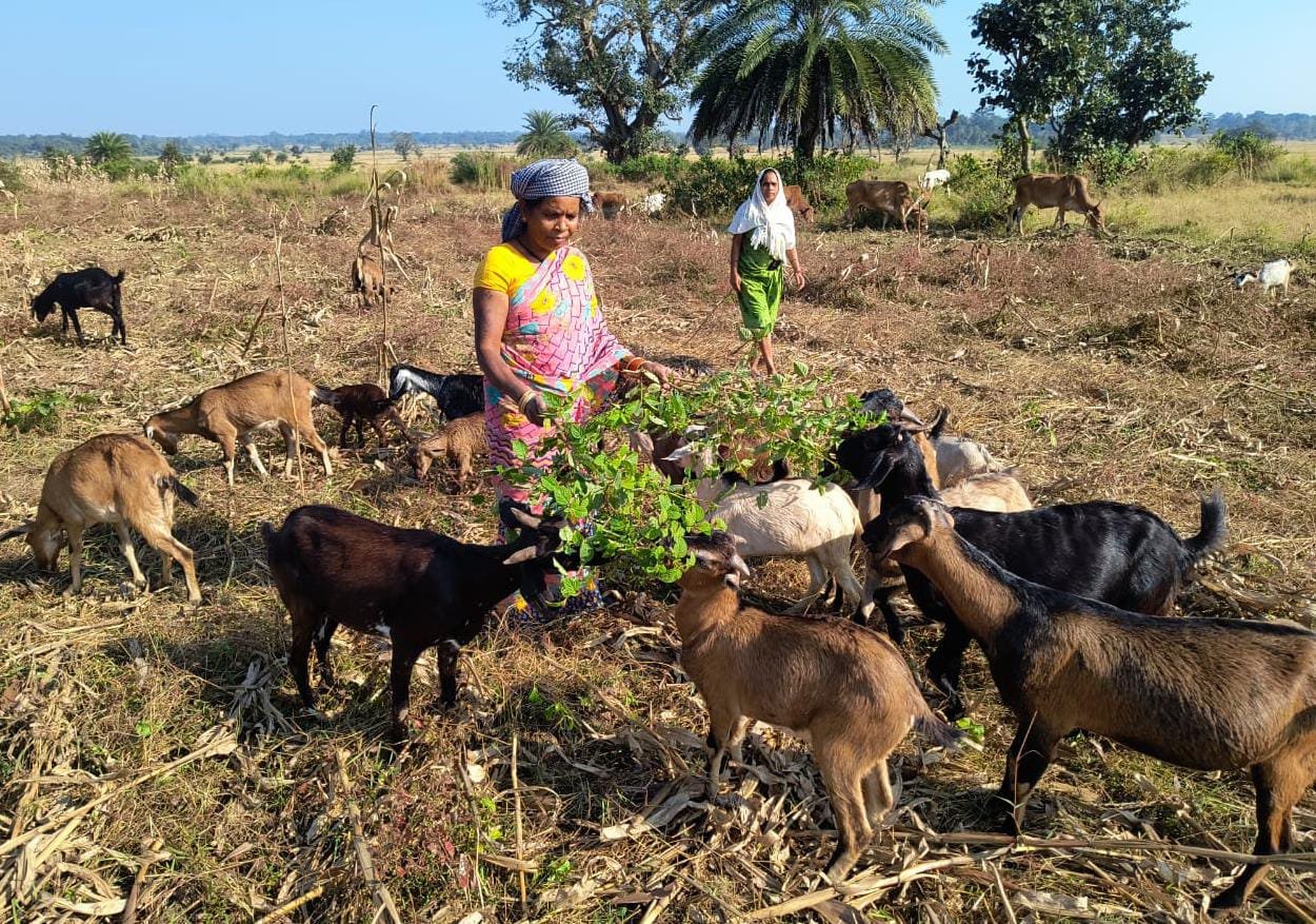 गरीबी को मात देकर आत्मनिर्भर बनी बुटकी