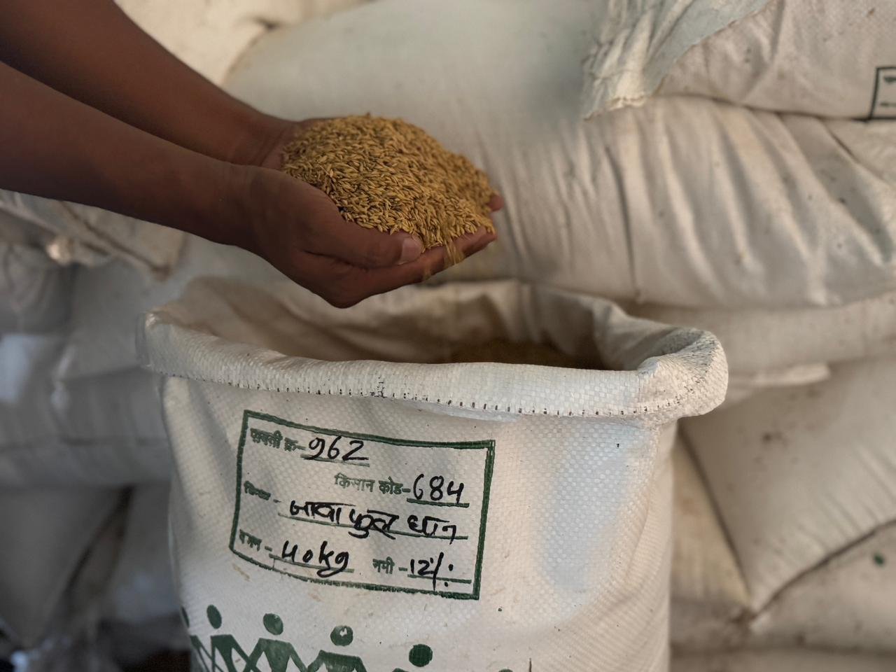 केंद्रीय कृषि मंत्री के मन को भाया दंतेवाड़ा का ‘जवा फूल चावल’