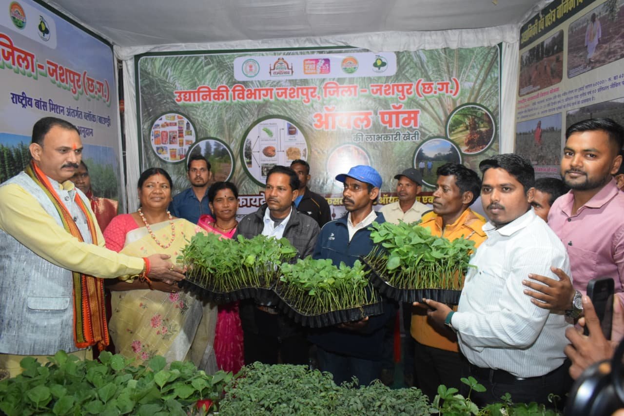 छत्तीसगढ़ राज्य स्थापना दिवस एवं रजत जयंती पर उद्यानिकी विभाग द्वारा नेशनल मिशन ऑन एडेबल ऑइल पाम का किया गया विशेष प्रदर्शन