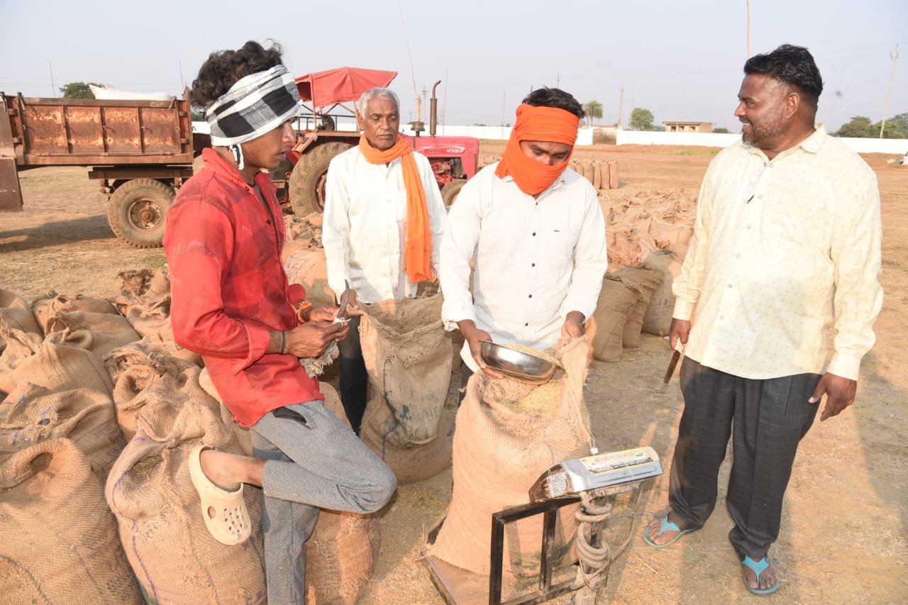 जिले में अब तक 3,45,822.80 क्विंटल धान खरीदी