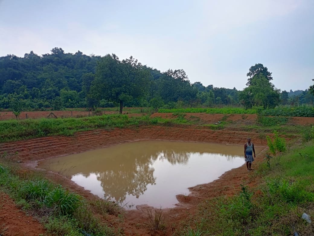 मनरेगा की डबरी से बदली रमेश की जिंदगी: आत्मनिर्भरता, खुशहाली और ग्रामीण प्रेरणा की अद्भुत मिसाल
