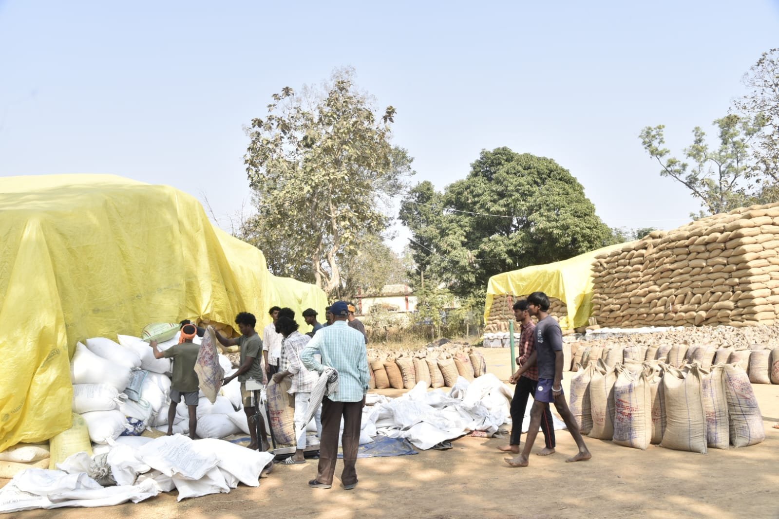 समर्थन मूल्य पर धान विक्रय से मिला खेती-किसानी को बढ़ावा, अब रबी फसल की तैयारी में लगे किसान नानगुर और बड़ेमुरमा धान खरीदी केन्द्र में किसानों ने बताया मिल रही सभी सहूलियत