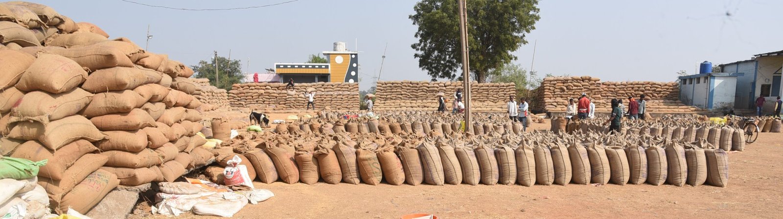 87,544.36 मे. टन धान की हुई खरीदी