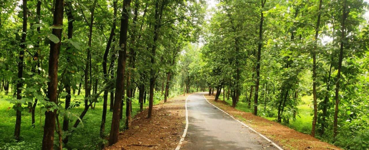 पीएमजीएसवाई से बदला विकास का भूगोल एमसीबी जिले में