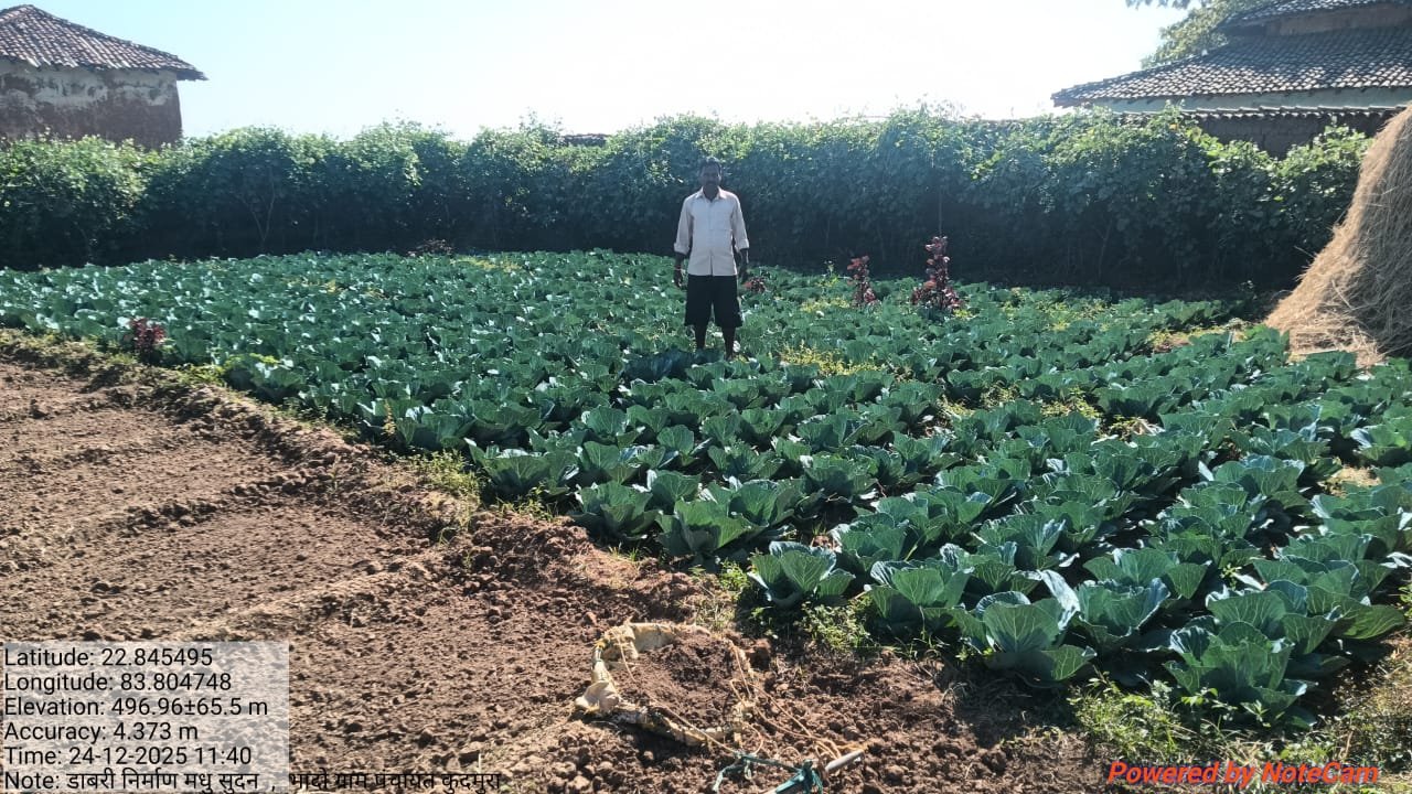 डबरी बना मधुसूदन के स्थायी आजीविका का आधार