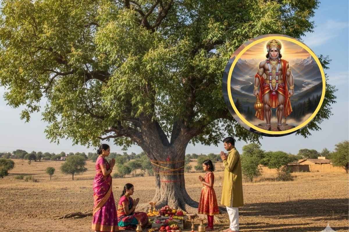 मंगलवार को नीम के पेड़ की पूजा क्यों है खास? जानिए हनुमान जी से जुड़ा महत्व