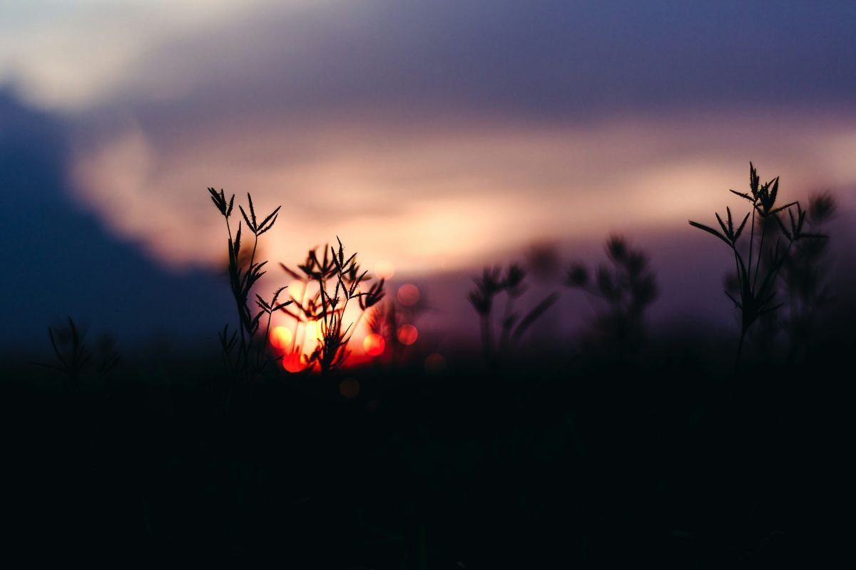 आने वाला है साल का सबसे छोटा दिन, जानें कब है शीतकालीन संक्रांति