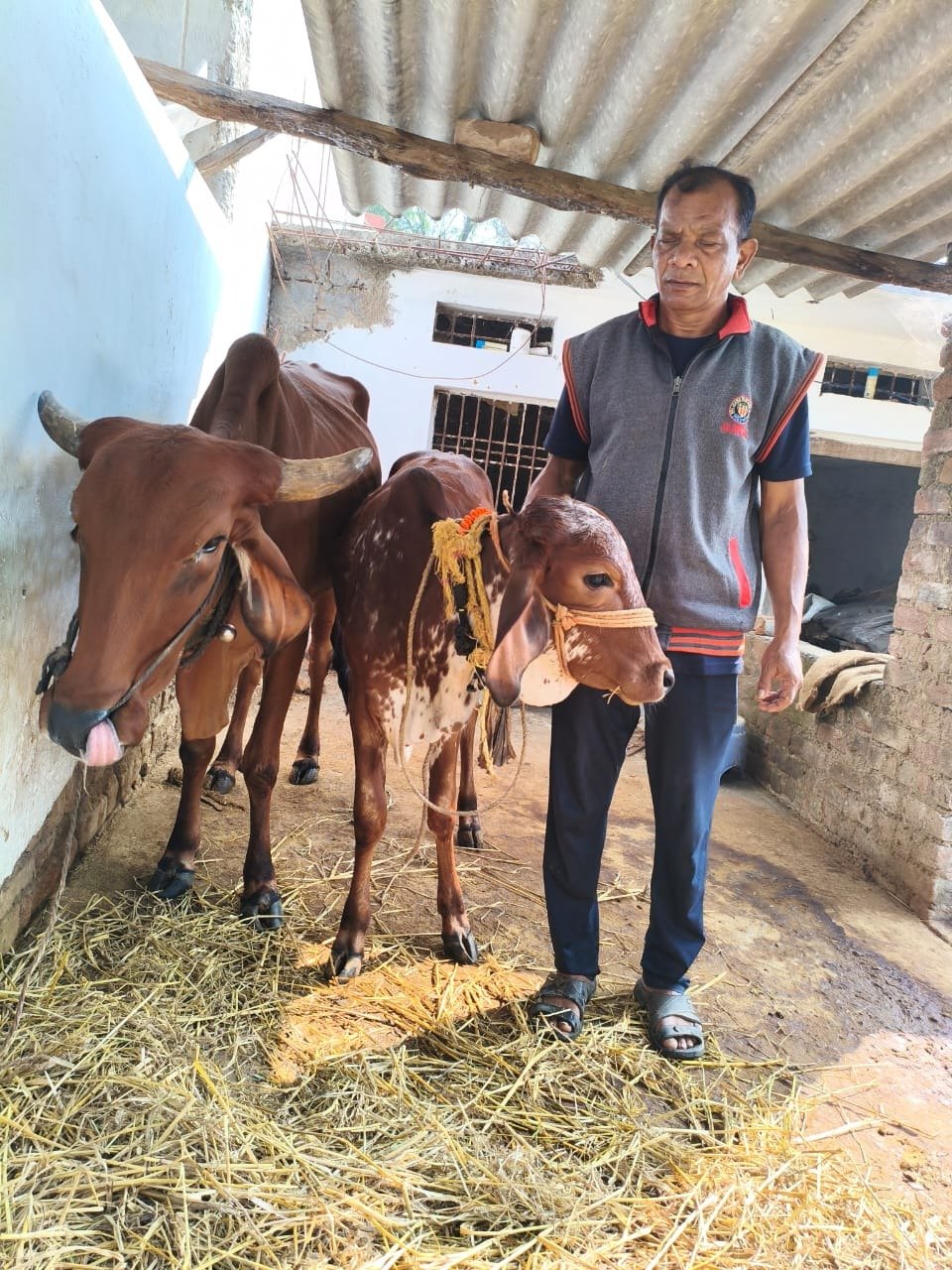राष्ट्रीय कृत्रिम गर्भाधान कार्यक्रम से बदल गई हरीश चंद्र पैंकरा की जिंदगी