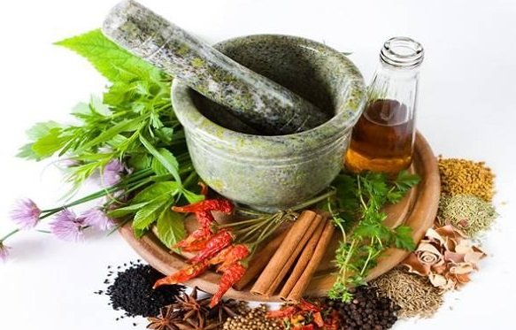 ट्रेडिशनल मेडिसिन पर ग्लोबल समिट की मेजबानी करेगा भारत