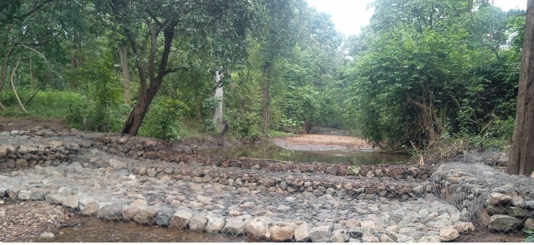 पुसनाला में गैबियन संरचनाओं से मिट्टी कटाव पर लगा प्रभावी नियंत्रण