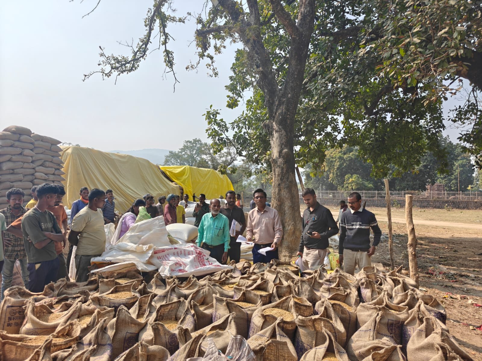 पोड़ी उपरोड़ा एसडीएम राजस्व एवं मंडी टीम की संयुक्त कार्रवाई कृ उपकेंद्र तुमान में 12 किसानों से लगभग 1000 क्विंटल रकबा समर्पण, अमानक धान की हो रही वापसी